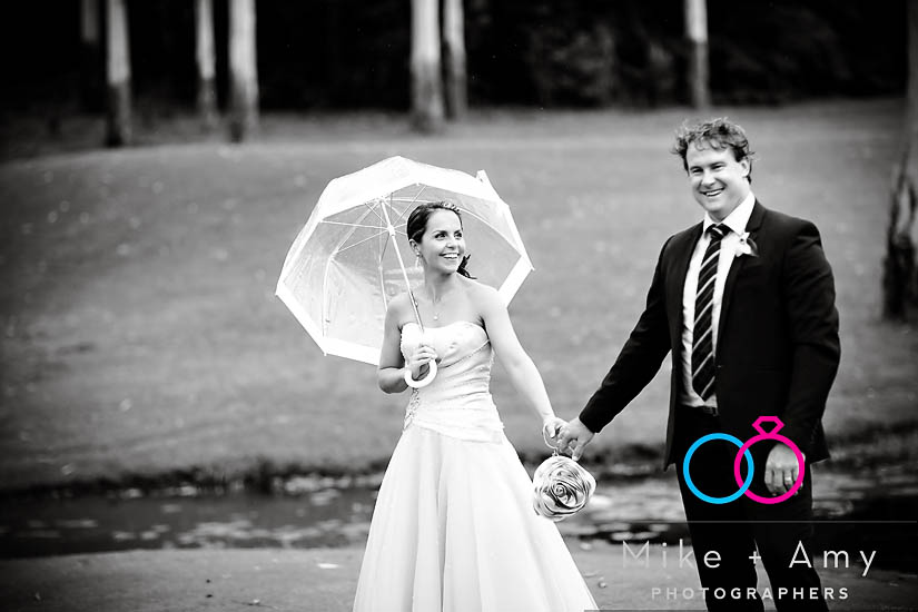 A and M&nbsp;Blog-22v3