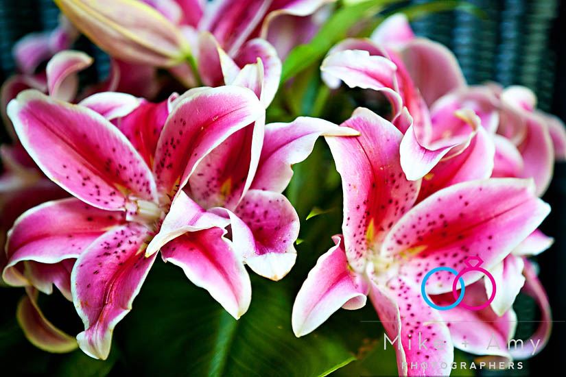 A and M Wedding&nbsp;blog-3