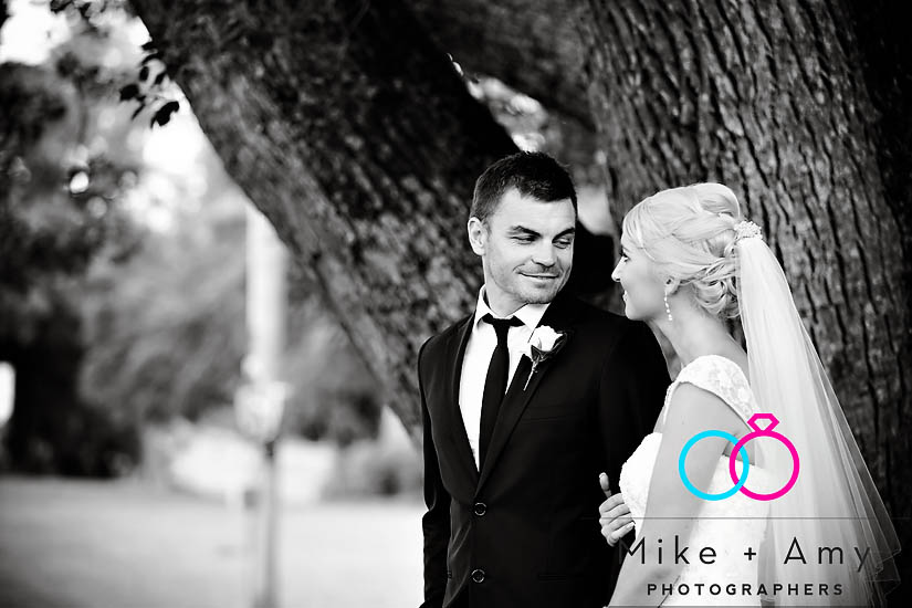 K and M&nbsp;Blog-24v2