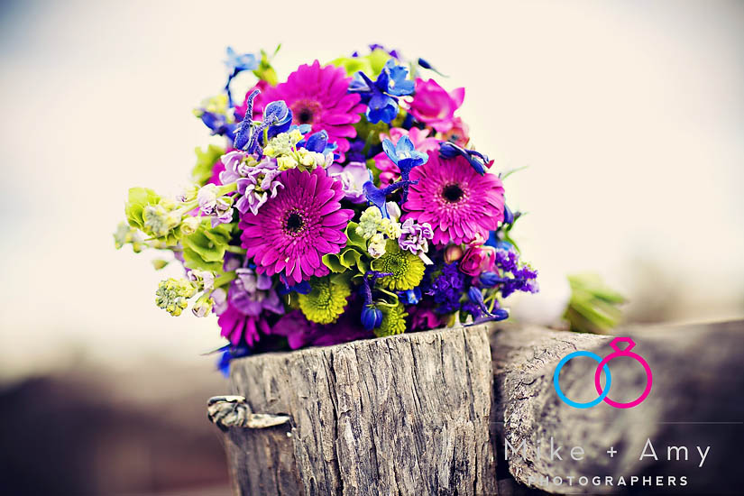 Al and Tr Wedding&nbsp;Blog-30v2