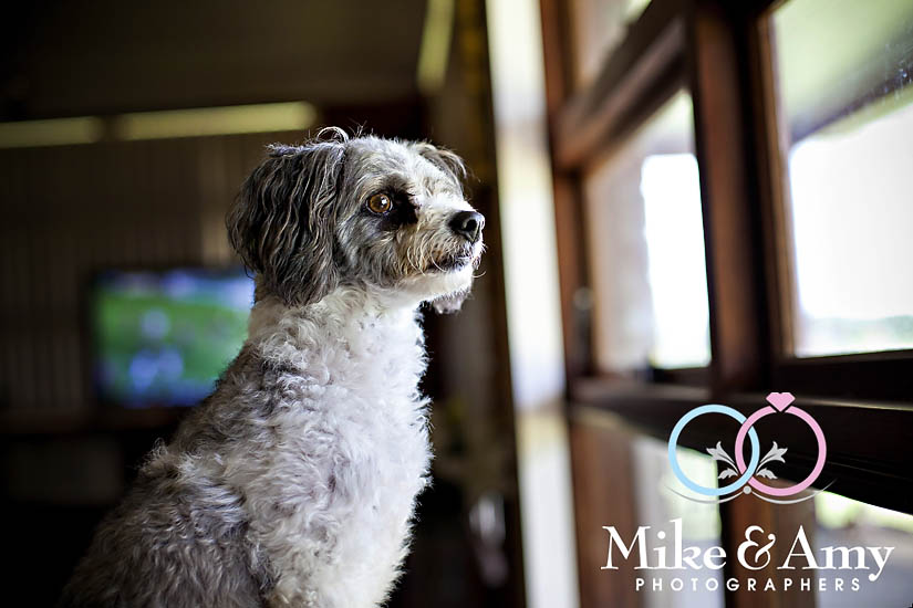 L and A Wedding&nbsp;CHR-49