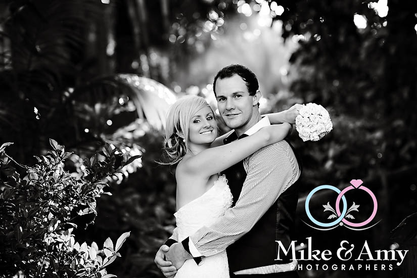 T and D Wedding&nbsp;CHR-596v2