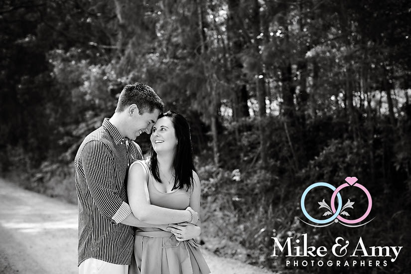 B and S Eshoot&nbsp;HR-6v2