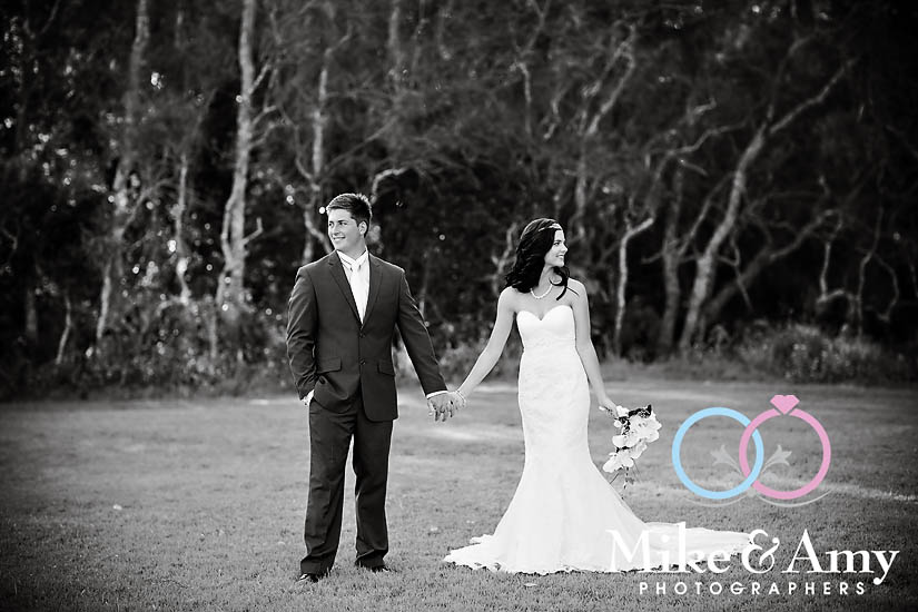 L and D Wedding&nbsp;CHR-543v2