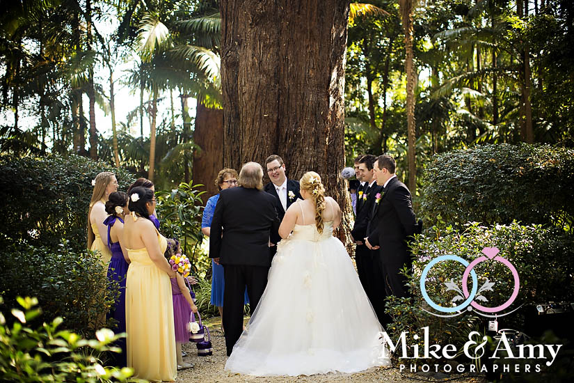 M and W Wedding&nbsp;CLR-338