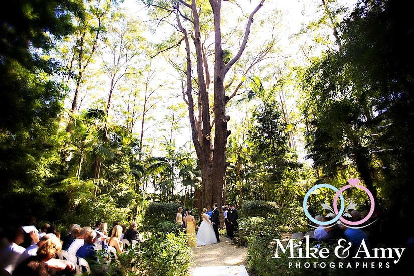 M and W Wedding&nbsp;CLR-365