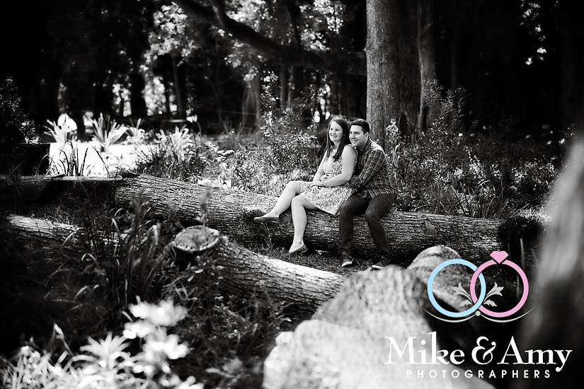 J and B&nbsp;Eshoot-26v2