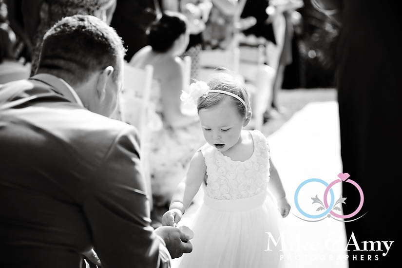 S and J Wedding&nbsp;CHR-204v2