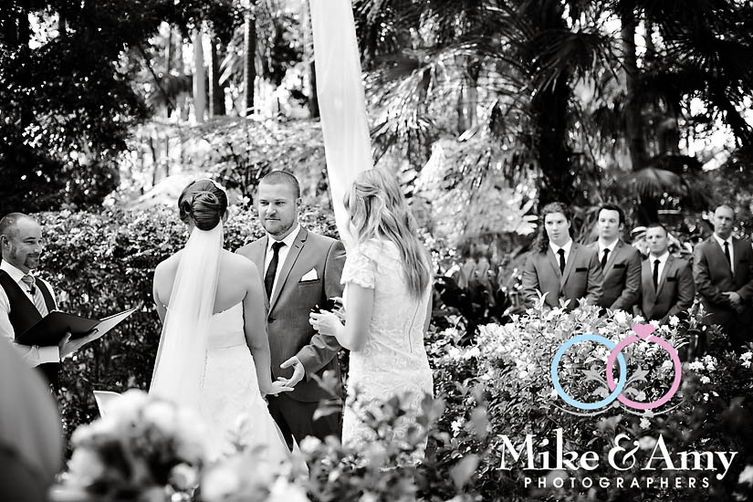 TJ Wedding CHR-478v2