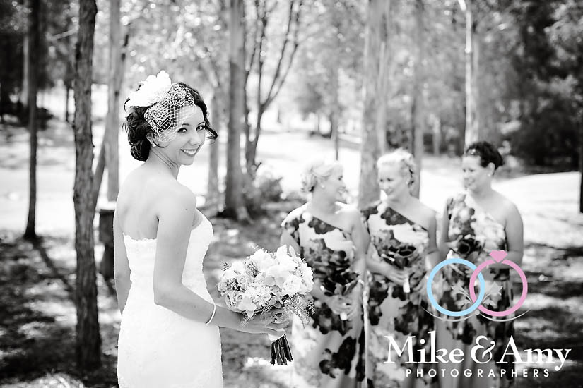 DS Wedding CHR-288v2