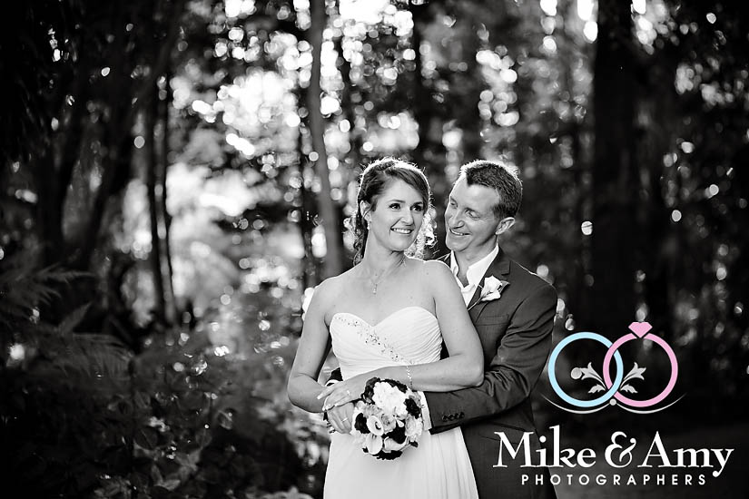 K and T Wedding&nbsp;CHR-550v2