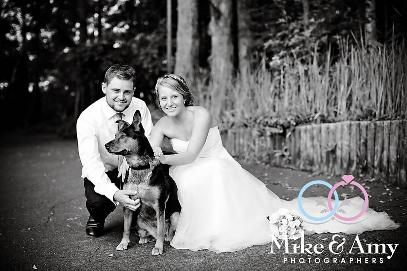 M and C Wedding&nbsp;CHR-742v2