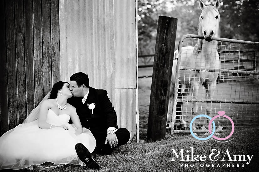 H and B Wedding&nbsp;CHR-576v2