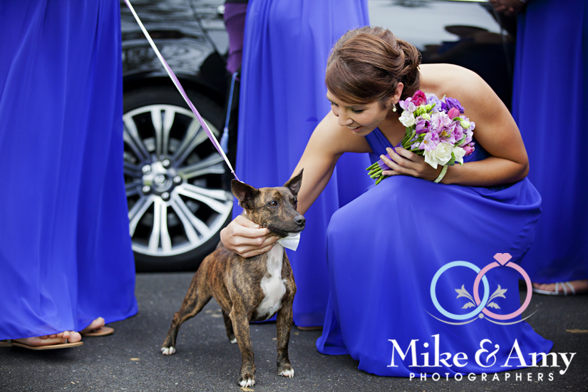 K and K Wedding&nbsp;CHR-398