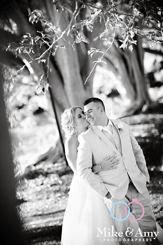 DJA WEDDING CHR-815v