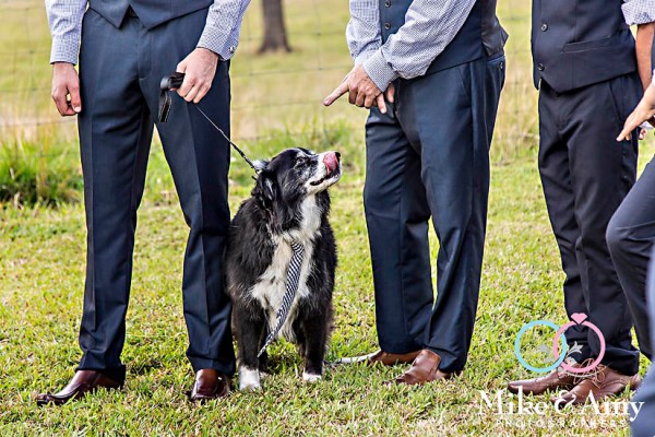 mike_and_amy_photographers_melbourne_photographer-30