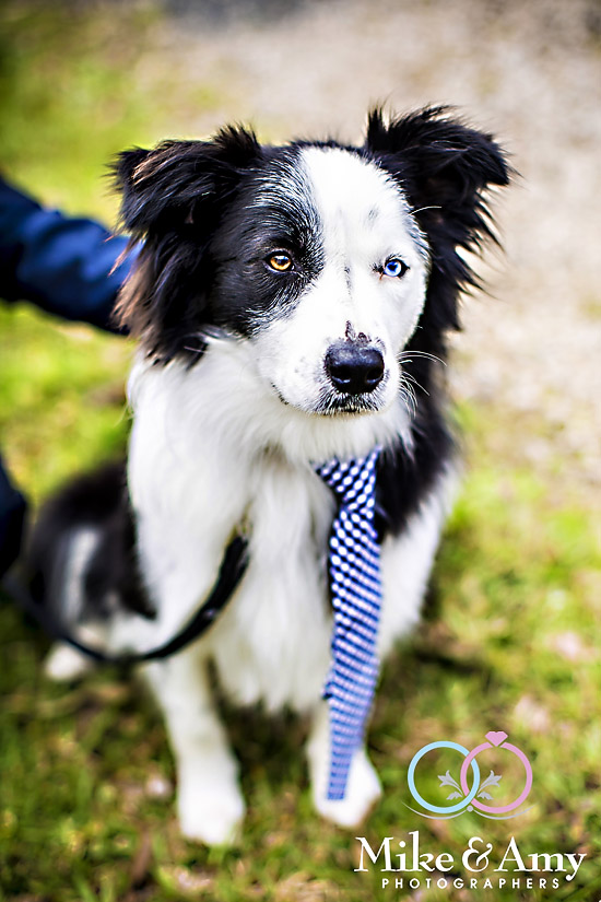 mike_and_amy_photographers_melbourne_photographer-6