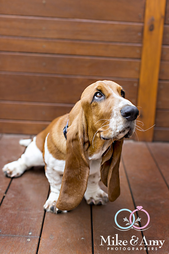 melbourne_wedding_photographer_mike_and_amy_photographers-3