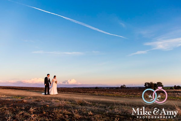 Mike_&amp;_Amy_Photographers_Melbourne_Wedding_Photographers-17