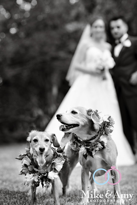 Melbourne_wedding_photographer_mike_and_amy_GD-26