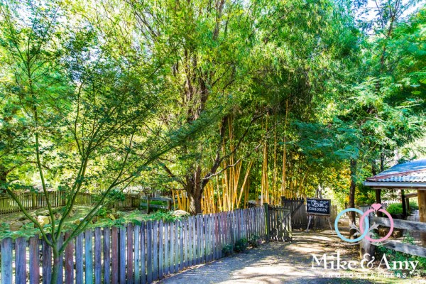 Mike_and_amy_photographers_melbourne_wedding_photographer-6