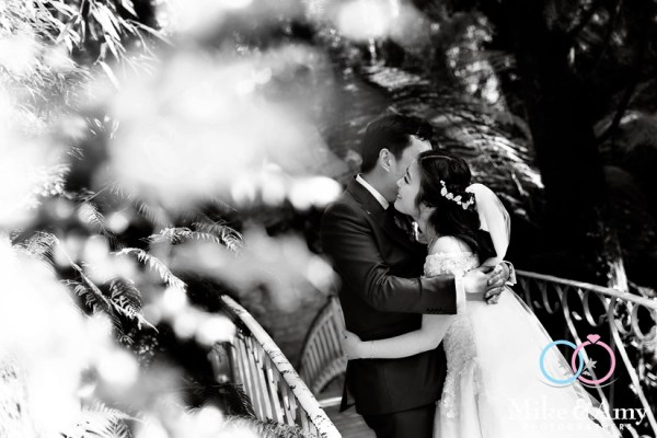 201d2516-d827-4b3a-a012-1c249de9ecbd