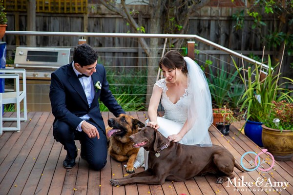 3098155f-d02c-473e-9d4d-b2f3067b7ddd