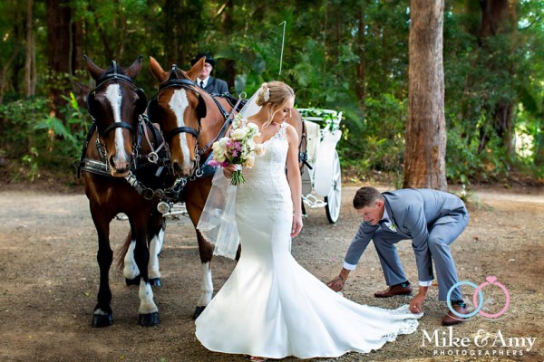 9123c224-ead2-4265-9065-b47798fdfaf6