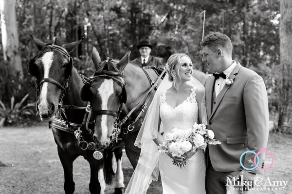 b20da643-cff7-4838-a155-b5b0e0c3370e