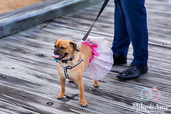 c62fd953-c147-46bc-9058-5a2bcb5aee5e