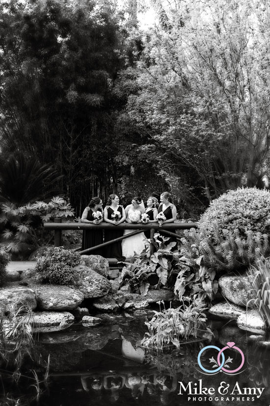 d1123ba3-add6-4b58-bbf0-f8b0f7de57ed